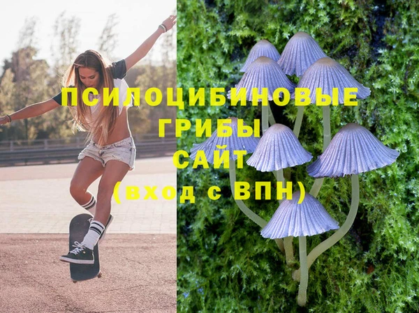 2c-b Алексин